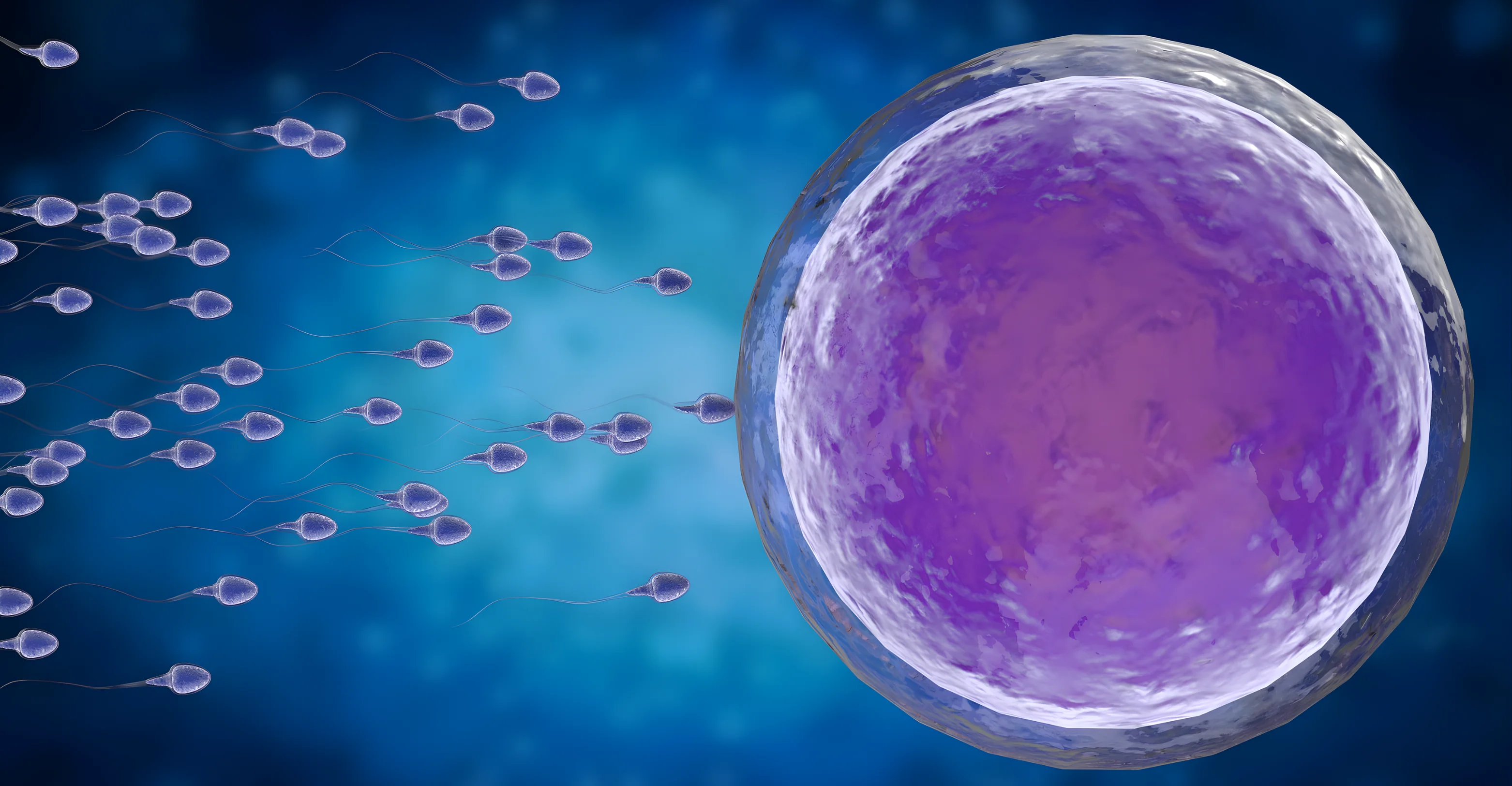 Best Fertility clinic in hyderabad In Vitro Maturation (IVM)
